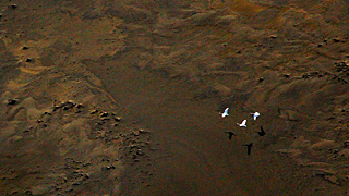 A Journey to Snaefellsnes