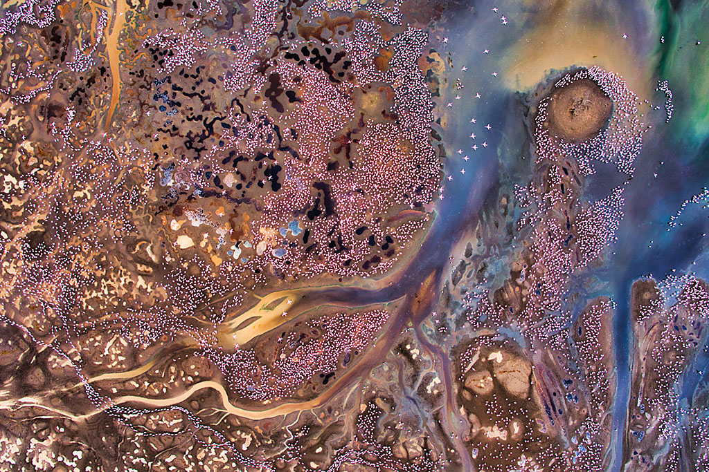 A biographical website about the award winning wildlife photographer, Cristobal Serrano. This site contains portfolios, news, biography and much more.